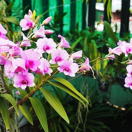Kaloang Home Bangkok Ngoại thất bức ảnh