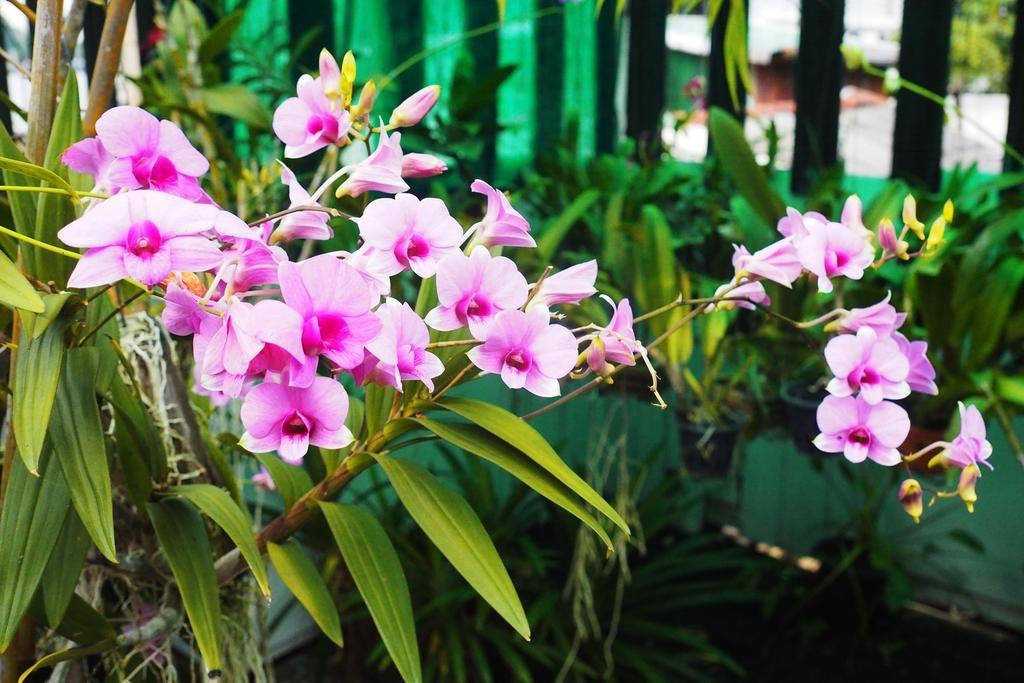 Kaloang Home Bangkok Ngoại thất bức ảnh