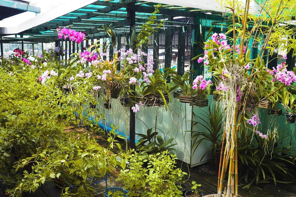 Kaloang Home Bangkok Ngoại thất bức ảnh
